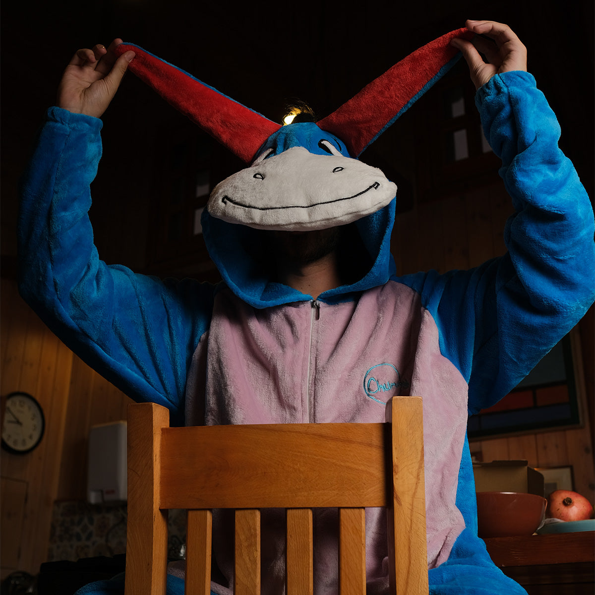 Donkey Onesie