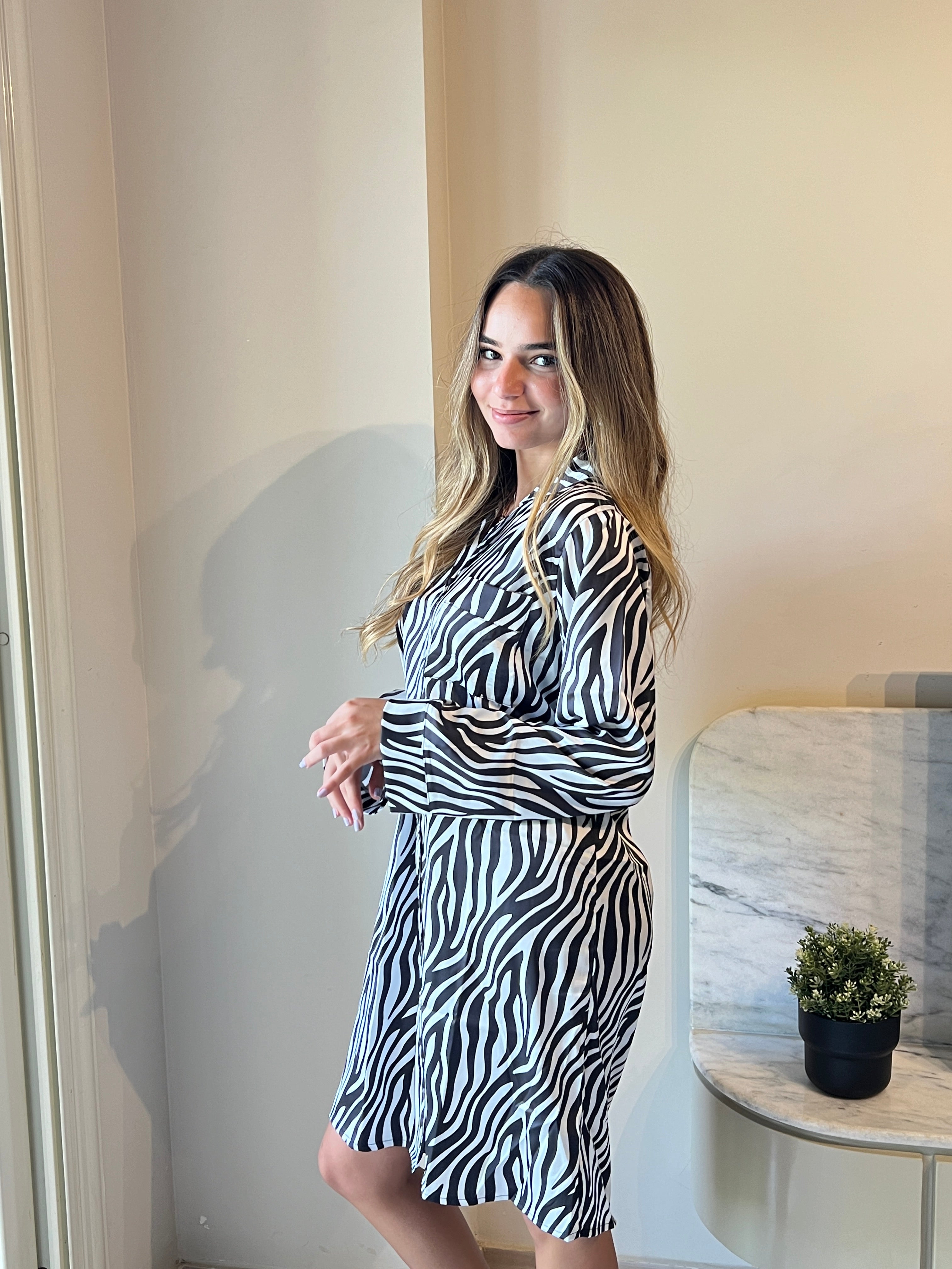 Zebra Satin Shirt Dress